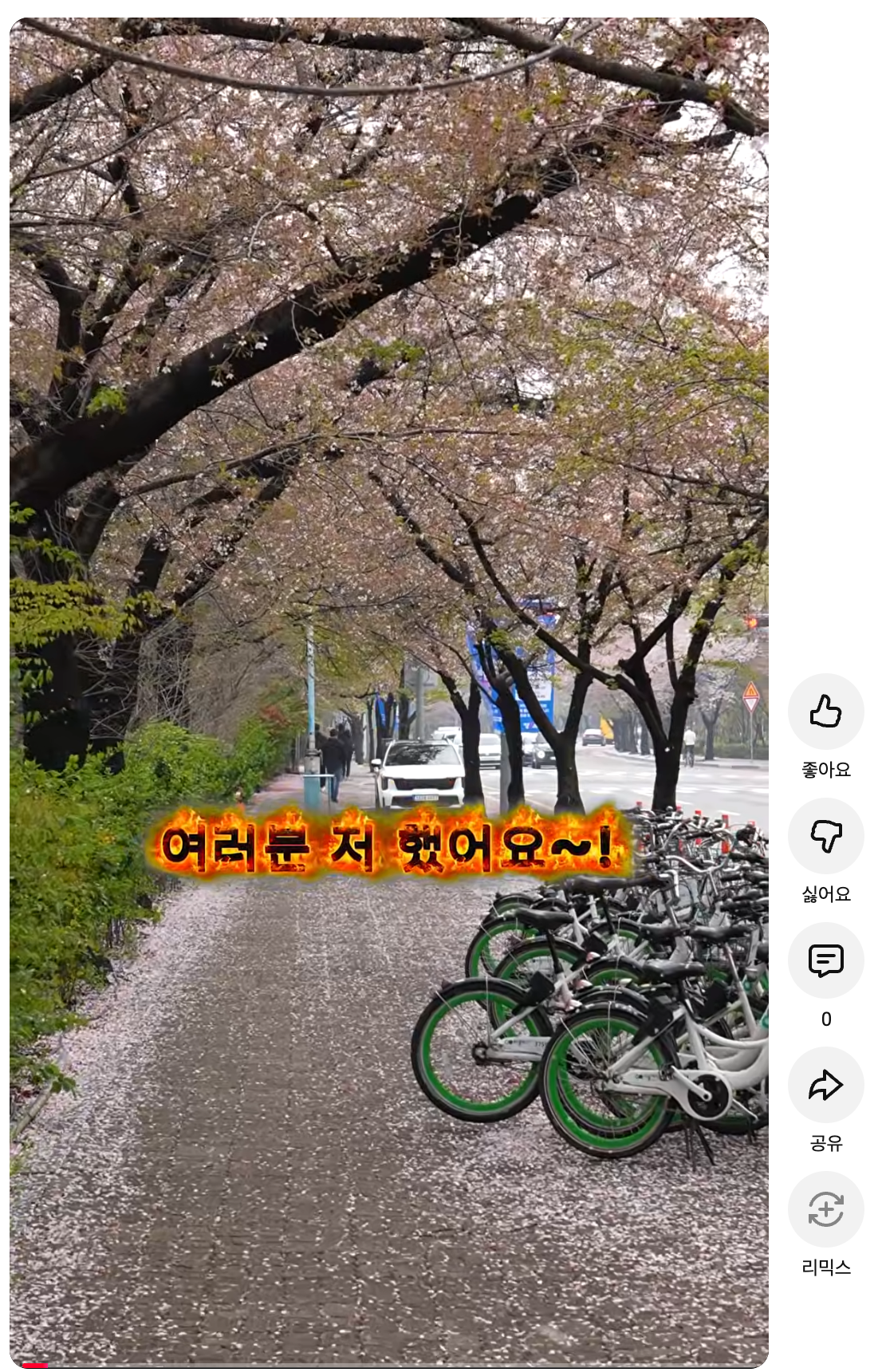 포트폴리오 비디오 썸네일